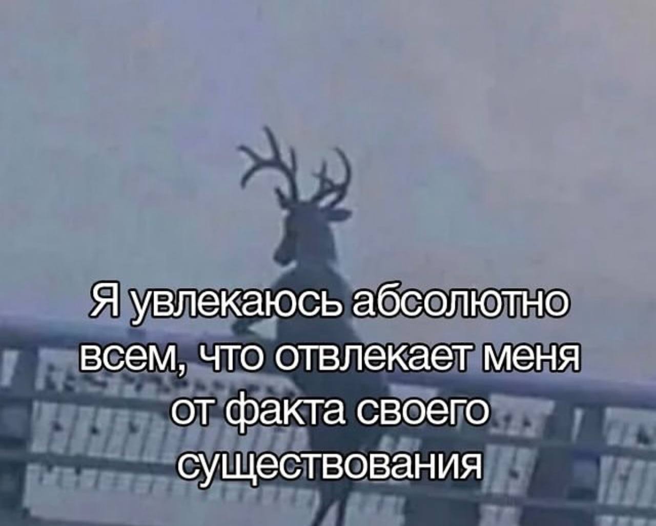 Я увлекаюсь абсолютно всем, что отвлекает меня от факта своего существования Олень на размытом фоне с текстом о увлечениях, отвлекающих от реальности