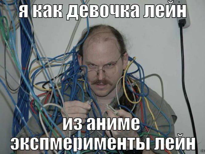 Я как девочка Лэйн из аниме Эксперименты Лэйн Мужчина, весь опутанный проводами, держит в руках коннекторы и смотрит на камеру, над ним надпись: "Я как девочка Лэйн из аниме Эксперименты Лэйн".