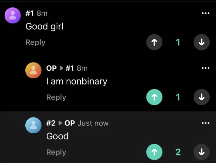 I am nonbinary. Good Мем с фразами «Good girl», «I am nonbinary» и «Good» в комментариях на чёрном фоне
