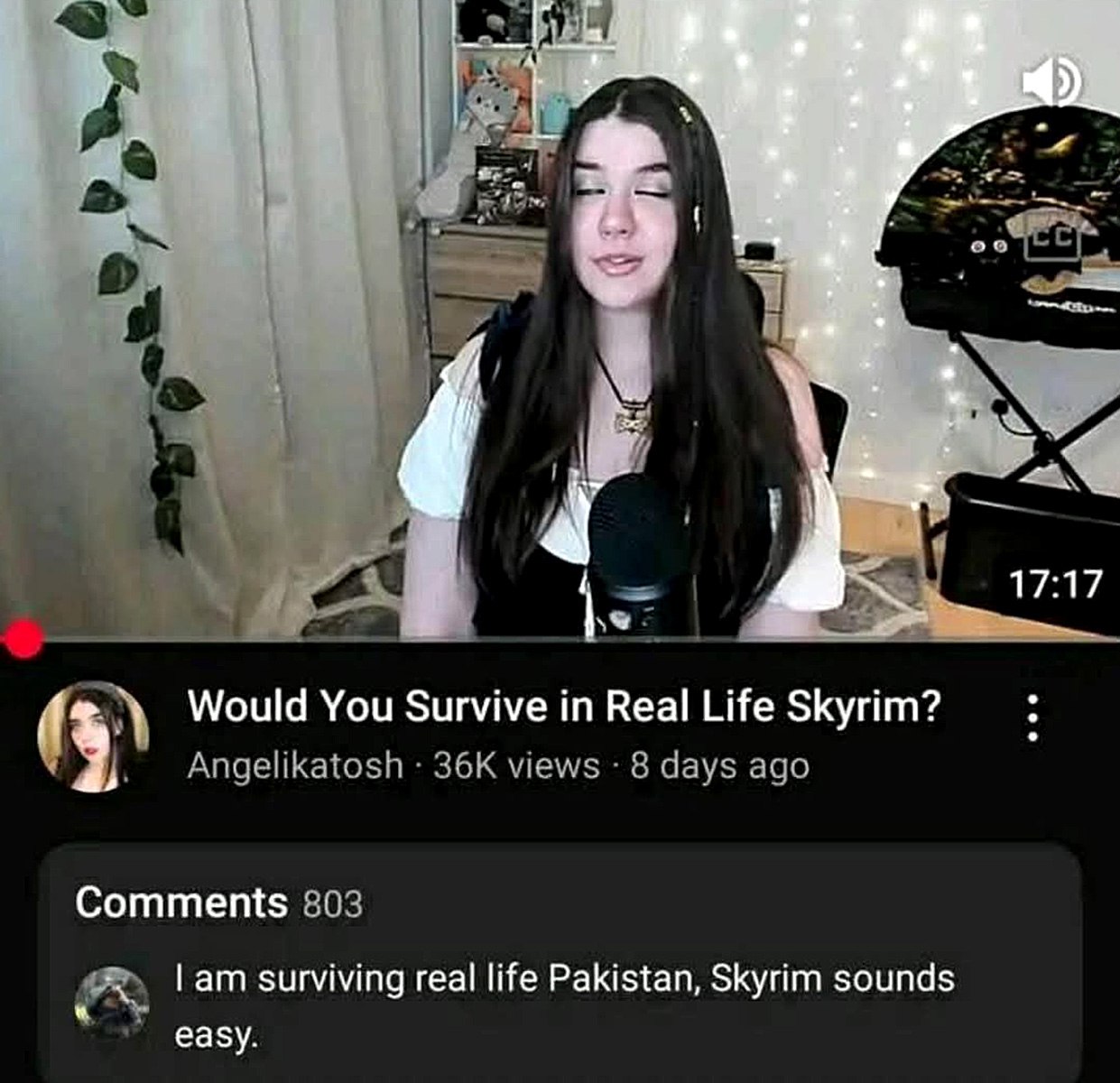 I am surviving real life Pakistan Мем с комментарием на YouTube о том, что выжить в реальном Пакистане сложнее, чем в Скайриме