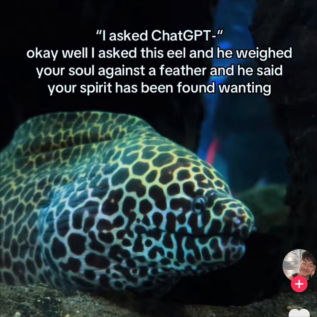 I asked this eel and he weighed your soul against a feather Мем с муреной, которая взвесила душу против пера и нашла ее несовершенной, вместо ChatGPT