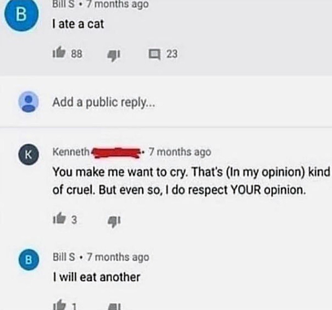I ate a cat. I will eat another Скриншот переписки на YouTube, где один пользователь заявляет, что съел кошку, а другой выражает свое неодобрение, после чего первый заявляет, что съест еще одну