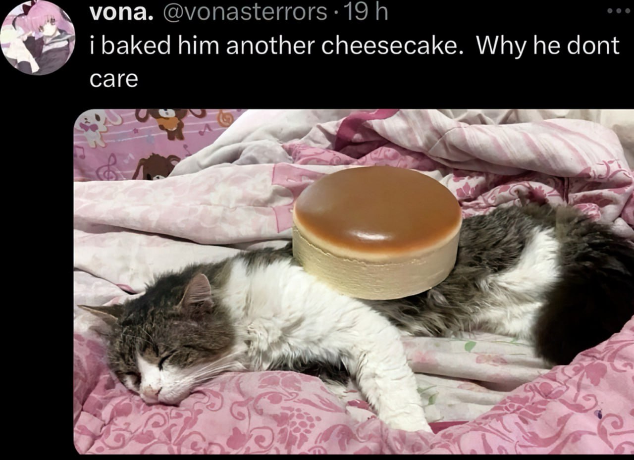 I baked him another cheesecake Кот спит, пока на его спине лежит чизкейк.