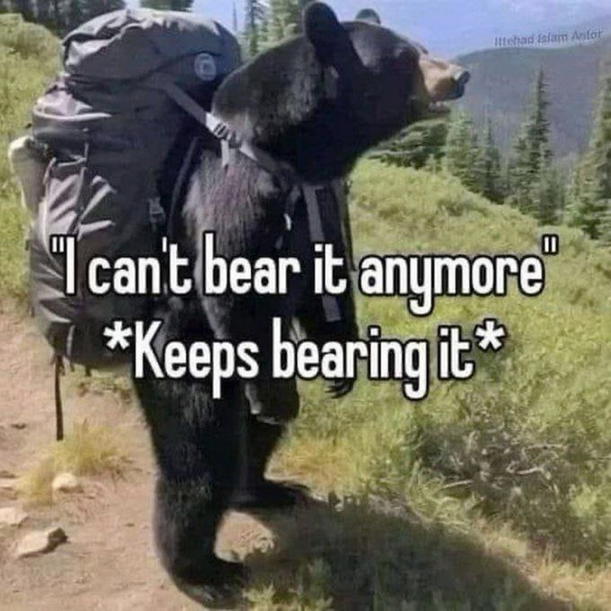 I can't bear it anymore Медведь в рюкзаке "I can't bear it anymore"