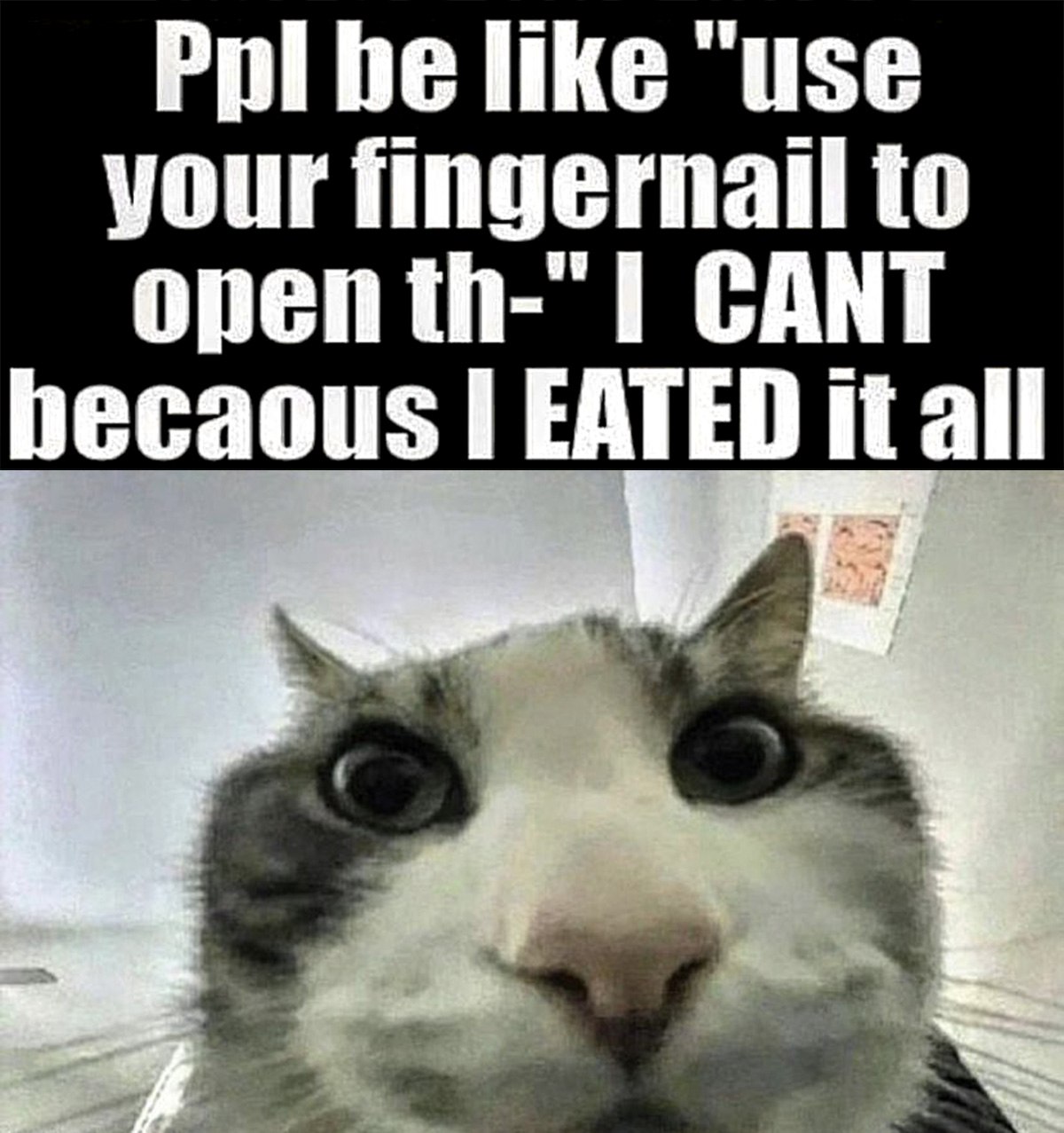 I CAN'T because I EATED it all Мем про кота, который не может открыть что-то ногтем, потому что он его съел