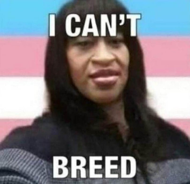 I can’t breed Мем с надписью «I can’t breed» на фоне трансгендерного флага