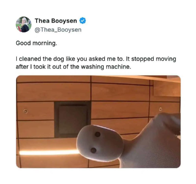 Я вымыл собаку, как ты просил Я вымыл собаку, как ты просил. Она перестала двигаться после того, как я вытащил ее из стиральной машины