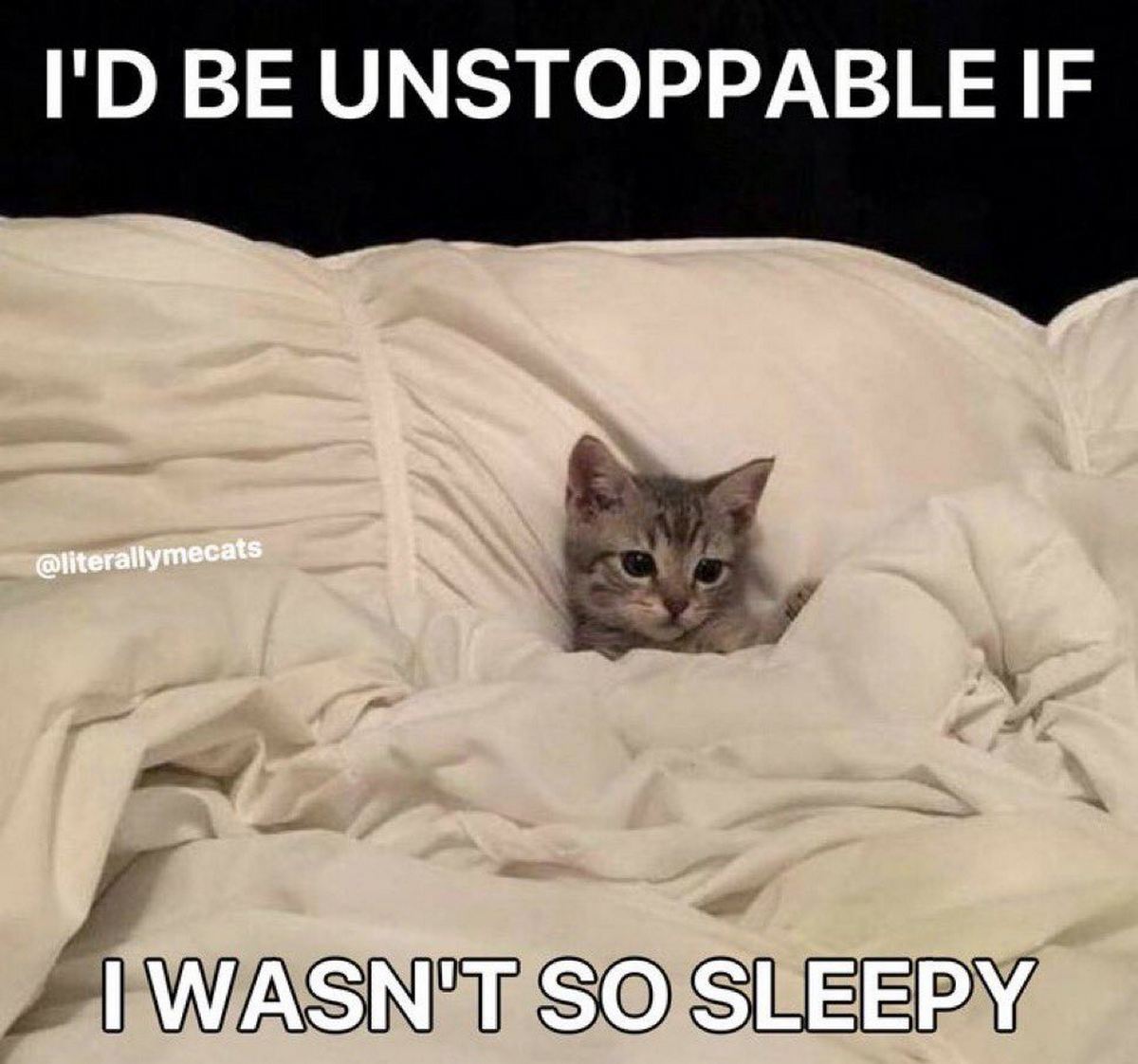 I'd be unstoppable if I wasn't so sleepy Котёнок под одеялом I'd be unstoppable if I wasn't so sleepy