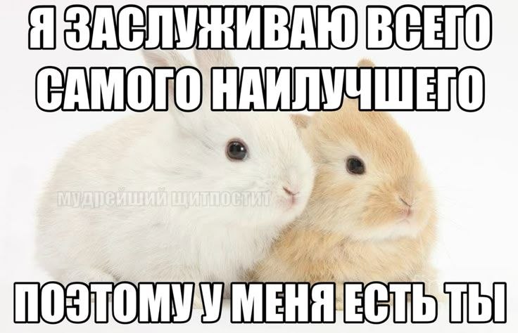 Два милых кролика и романтичная надпись о том, что любимый человек — самое лучшее, что есть в жизни.