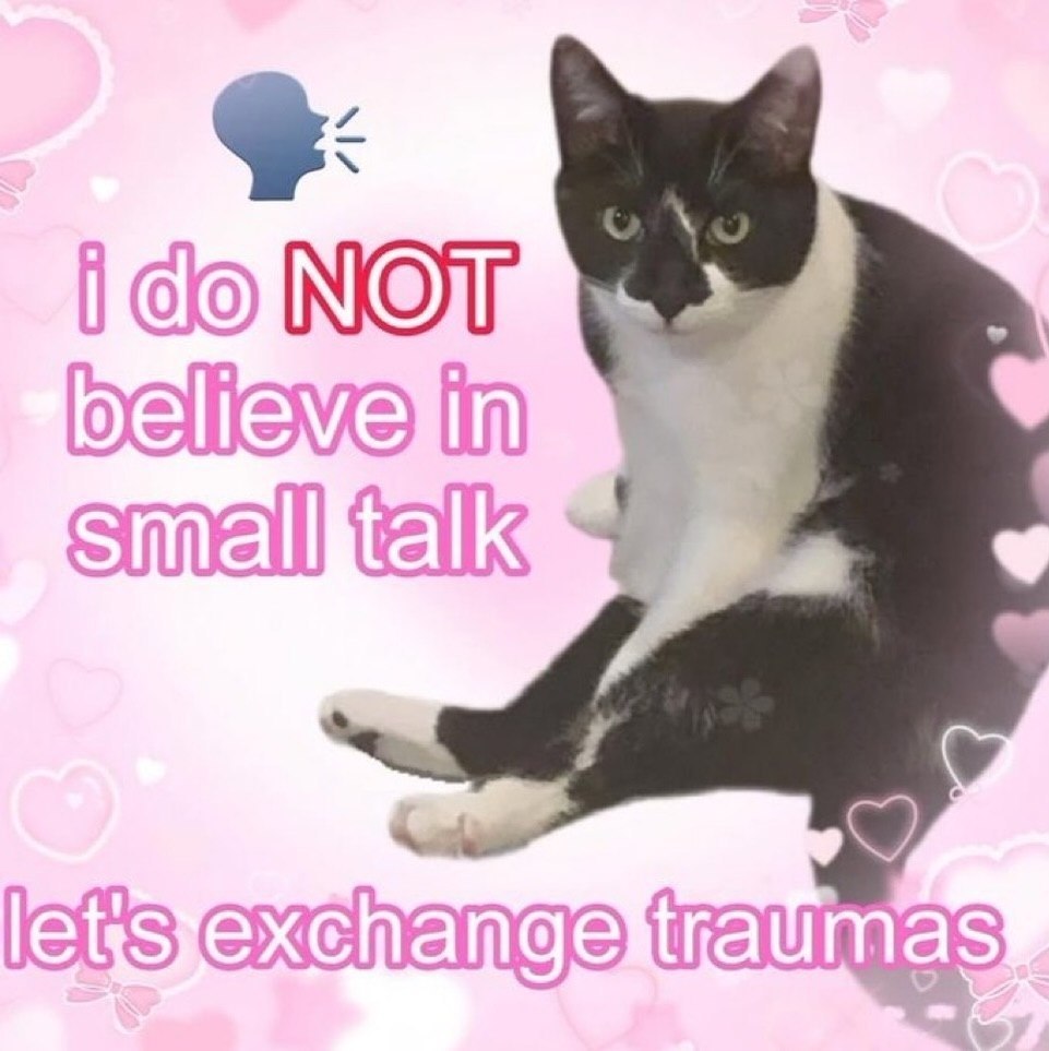 Черно-белый кот на розовом фоне с сердечками и надписью: «I do NOT believe in small talk. Let's exchange traumas».