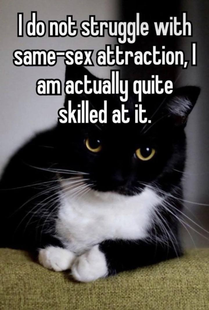 I do not struggle with same-sex attraction Кот "Я не борюсь с однополым влечением"