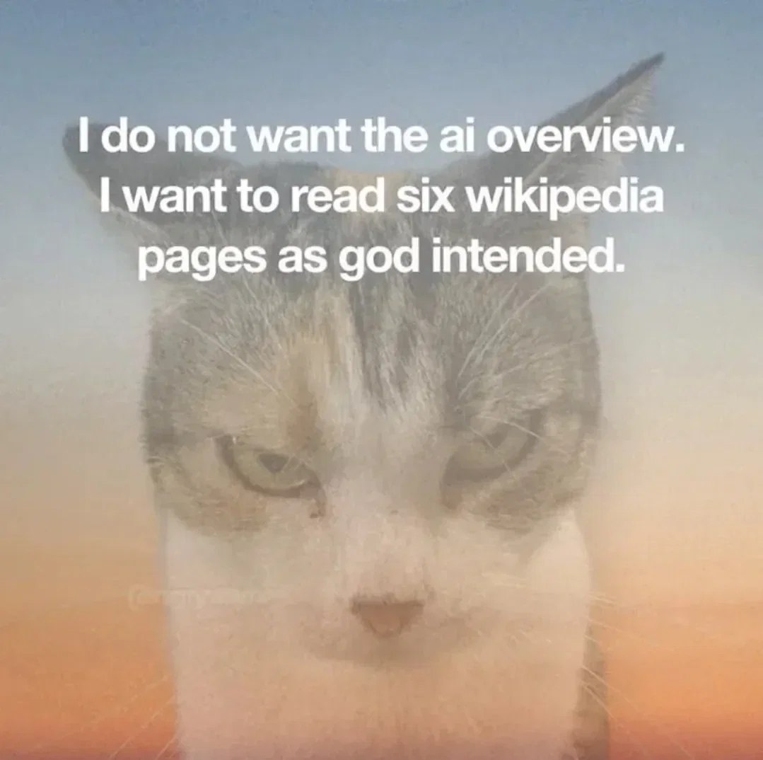 Суровый кот с текстом «I do not want the ai overview. I want to read six wikipedia pages as god intended.»
