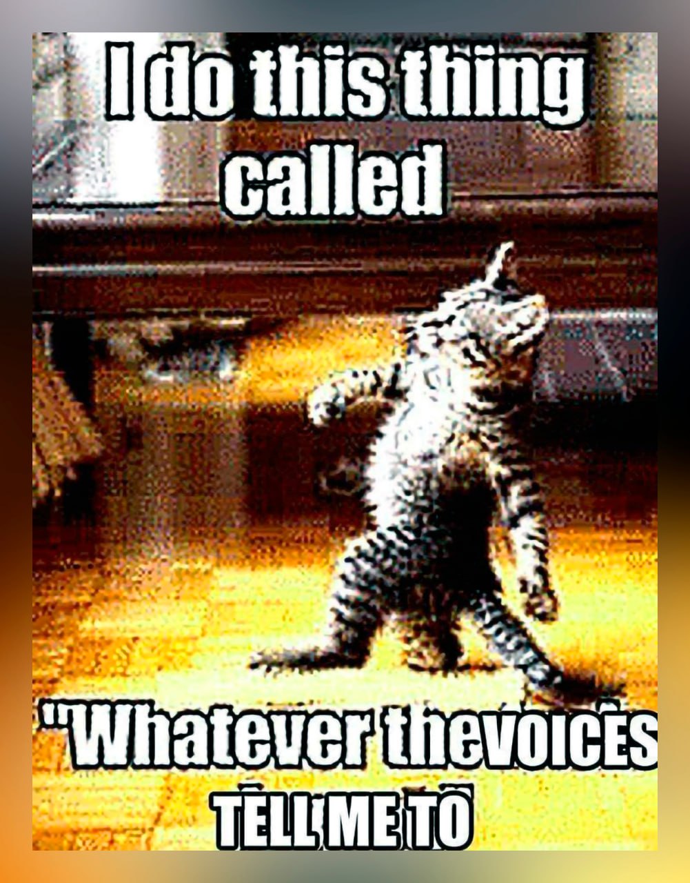I do this thing called Whatever the voices tell me to Мем с глубоко прожаренной кошкой, стоящей на задних лапах, с надписью "I do this thing called Whatever the voices tell me to".
