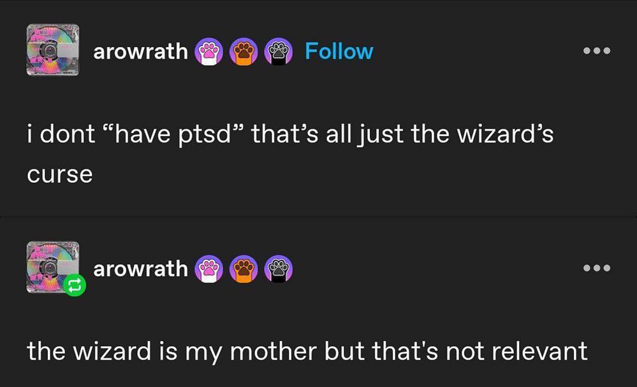 I dont "have ptsd" that's all just the wizard's curse Мем про то, как человек объясняет, что у него не ПТСР, а проклятие волшебника, которым на самом деле является его мать.
