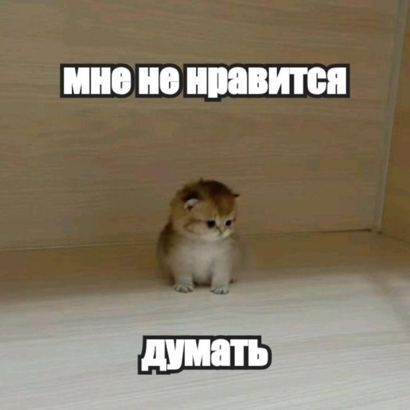 Грустный котёнок сидит в углу с подписью «Мне не нравится думать» — забавная реакция на сложные мысли и проблемы.