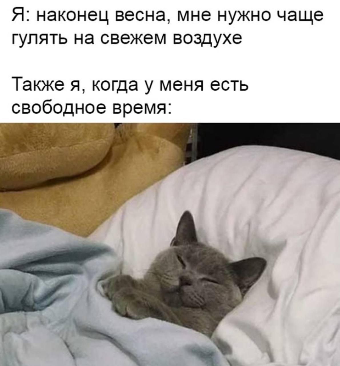 Я: наконец весна, мне нужно чаще гулять на свежем воздухе Я: наконец весна, мне нужно чаще гулять на свежем воздухе. Также я, когда у меня есть свободное время: спящий кот под одеялом.