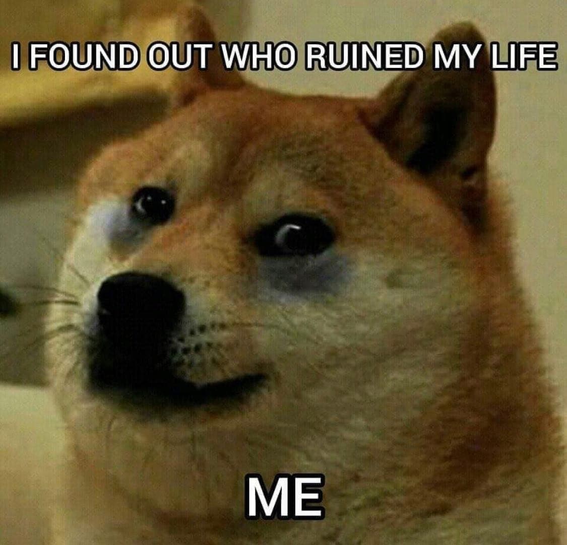 I found out who ruined my life Мем с собакой Доге, которая признаётся, что сама разрушила свою жизнь.