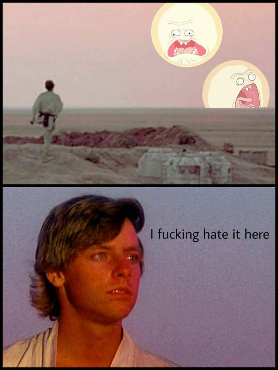 Люк Скайуокер, смотрящий на два солнца из "Рика и Морти" на Татуине, с подписью "I fucking hate it here"