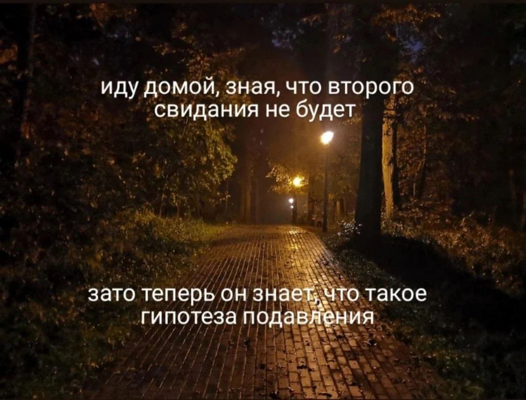 Иду домой, зная, что второго свидания не будет Мем с текстом «Иду домой, зная, что второго свидания не будет. Зато теперь он знает, что такое гипотеза подавления» на фоне ночной аллеи с фонарями.