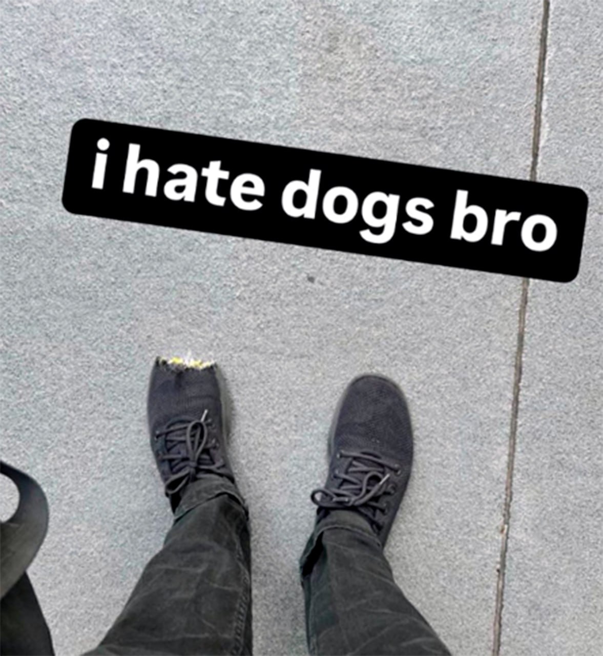 I hate dogs bro Человек смотрит на свои порванные ботинки и пишет «i hate dogs bro».