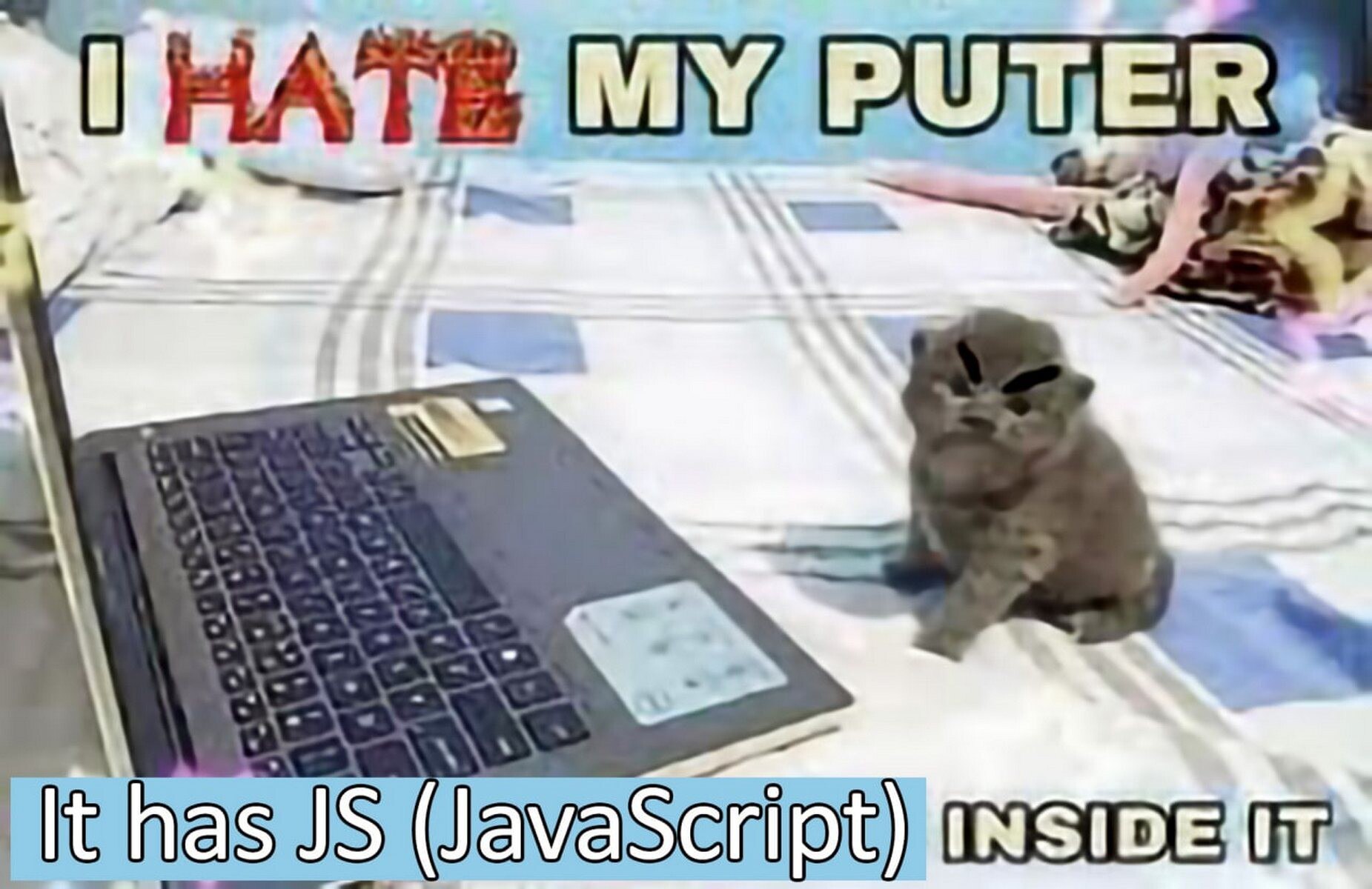 I HATE MY PUTER it has JS (JavaScript) INSIDE IT Мем с котом, который ненавидит свой компьютер, потому что в нем есть JavaScript