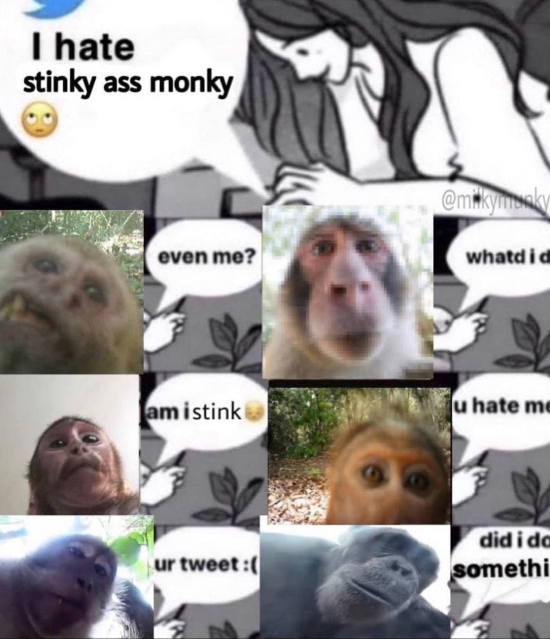 I hate stinky ass monky Коллаж с обезьянами и надписью «I hate stinky ass monky»