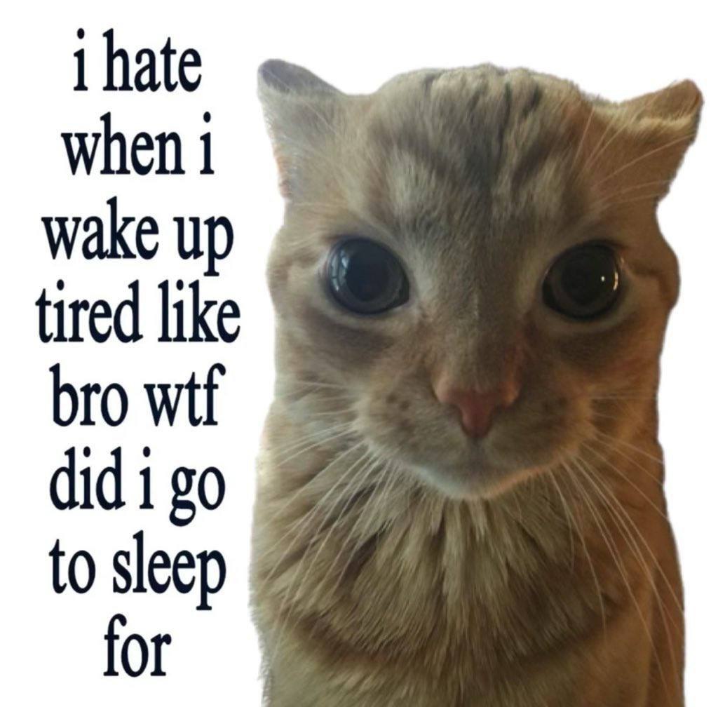 I hate when i wake up tired like bro wtf Мем с котом "i hate when i wake up tired like bro wtf did i go to sleep for"
