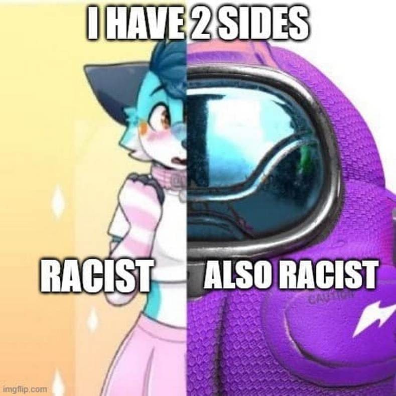 I have 2 sides: Racist Also racist У меня две стороны: расист и также расист, фурри и персонаж Among Us