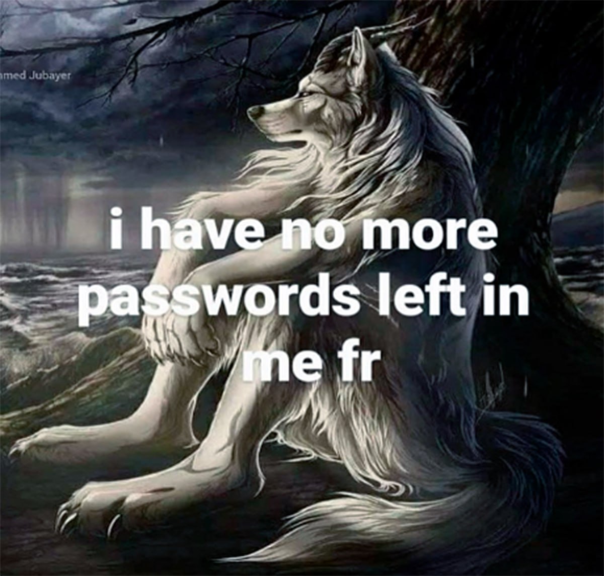 I have no more passwords left in me fr Мем с грустным волком и надписью «У меня больше нет паролей»