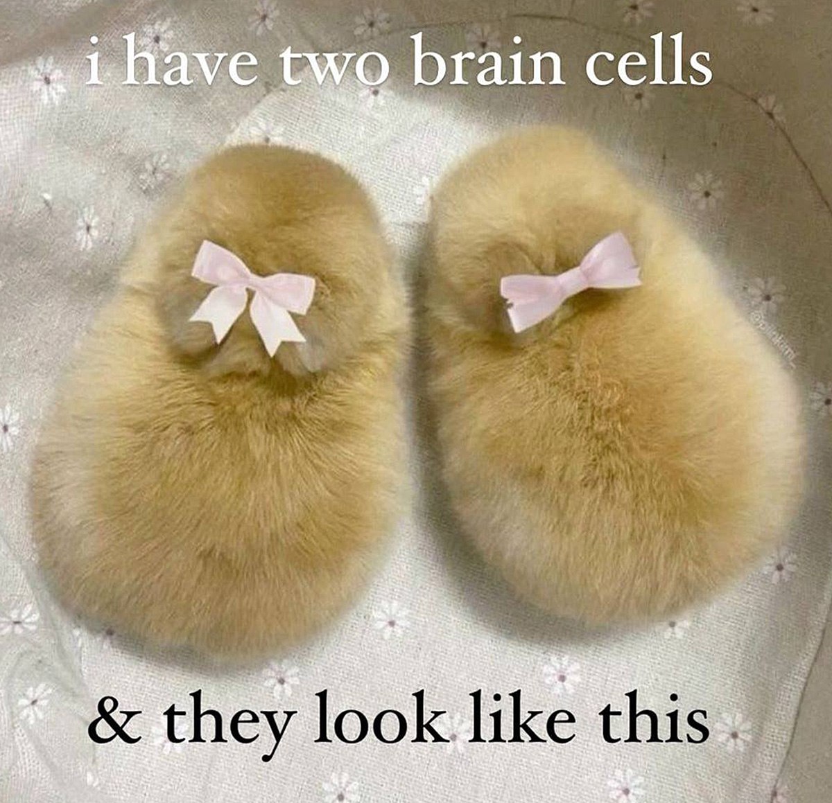 I have two brain cells and they look like this Мем с двумя пушистыми тапками-пинетками и надписью «i have two brain cells & they look like this»