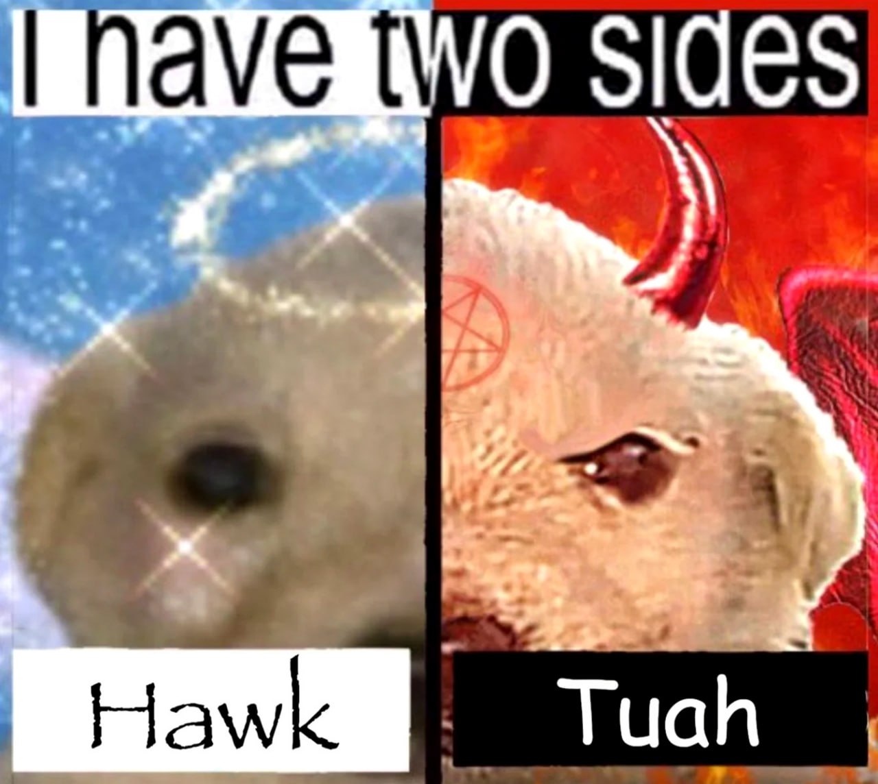 I have two sides Hawk Tuah Мем про собаку с двумя сторонами: ангельской и демонической, с надписями Hawk и Tuah