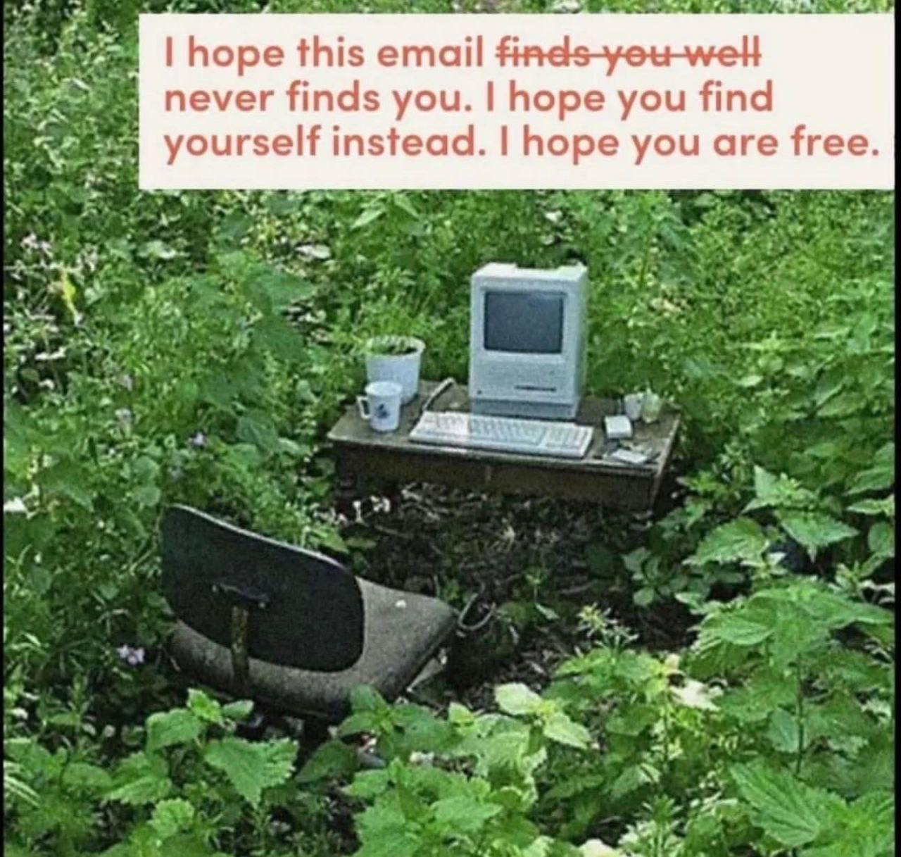 I hope this email never finds you Старый компьютер и офисное кресло стоят в поле, заросшем травой, а сверху надпись про свободу