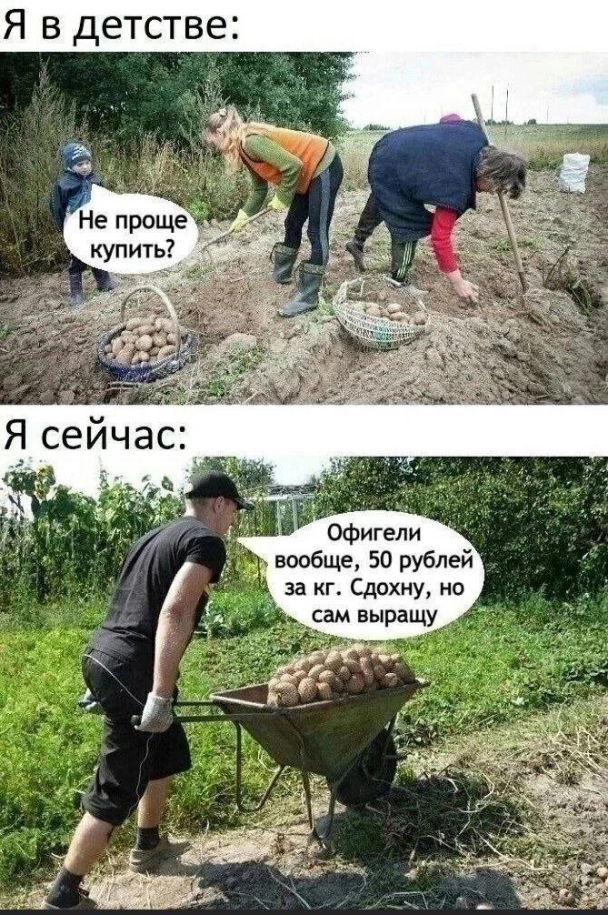 Я в детстве, я сейчас Мем про то, как в детстве не хотелось копать картошку, а сейчас готов сам вырастить, лишь бы не покупать за дорого