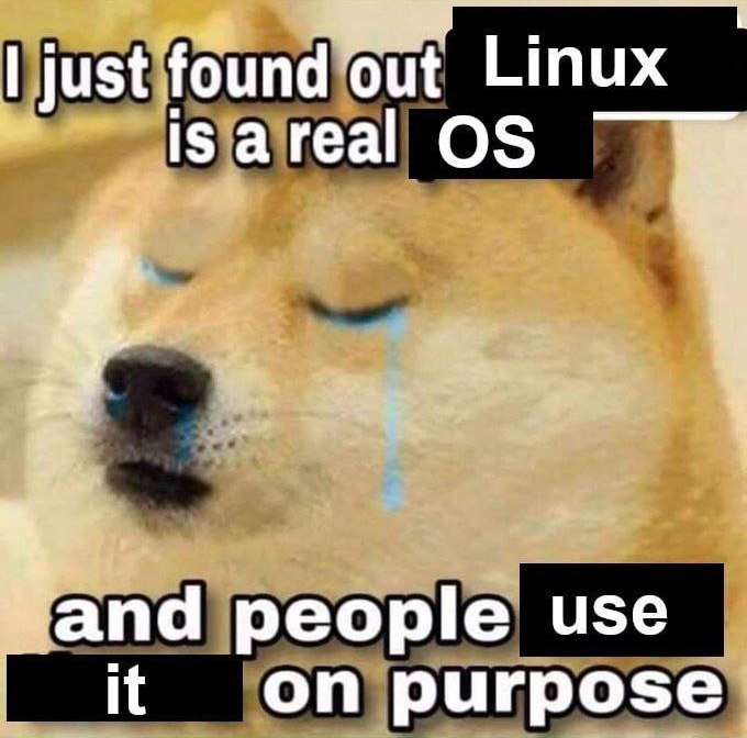 I just found out Linux is a real OS Мем с грустной собакой породы сиба-ину, из глаз которой текут слезы, и надписью: «Я только что узнал, что Linux – это настоящая операционная система, и люди используют ее специально»