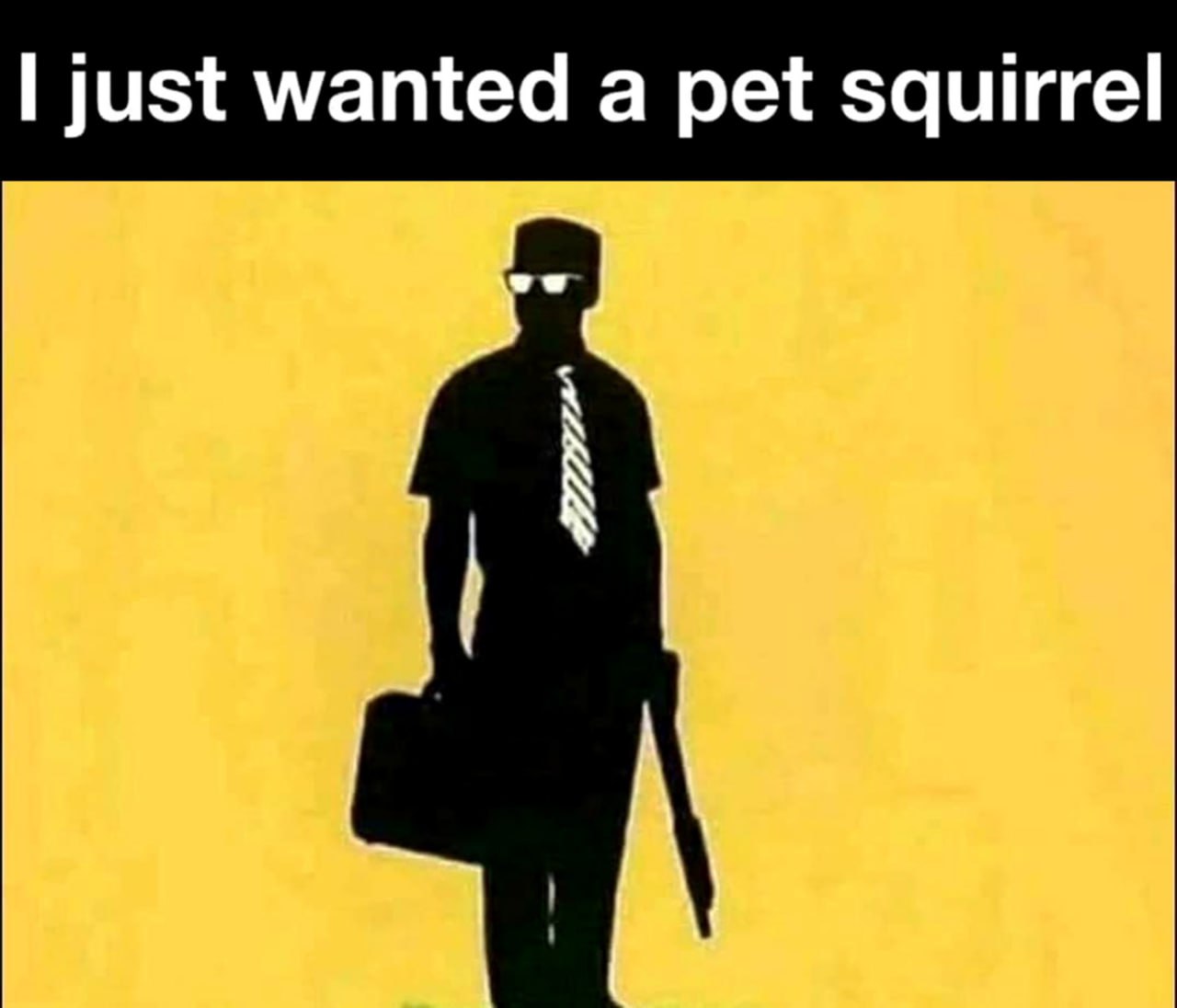 I just wanted a pet squirrel Мем про человека с винтовкой, который хотел ручную белку