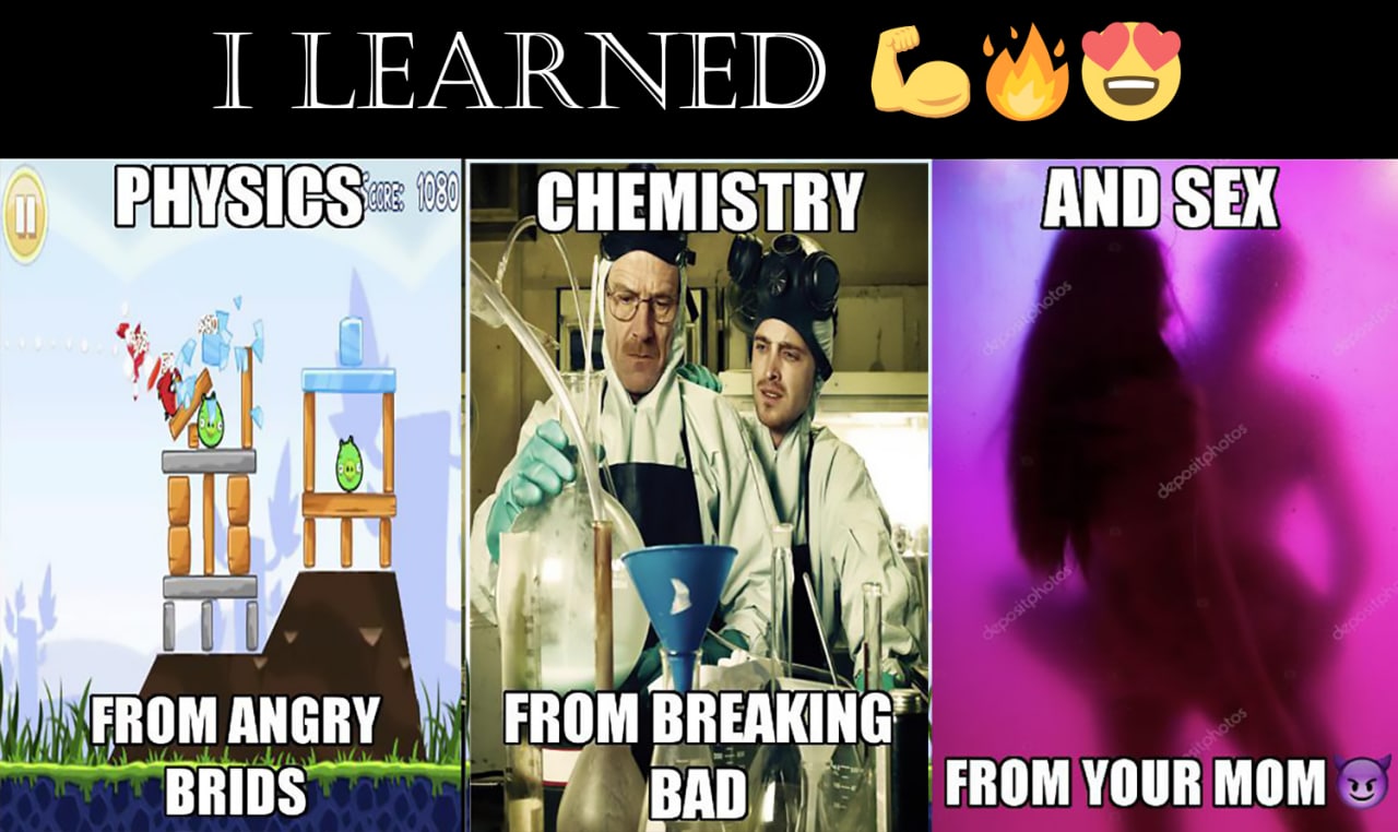 I learned physics, chemistry and sex from your mom Мем "Я научился физике, химии и сексу" с персонажами "Злых птиц", "Во все тяжкие" и отсылкой к фразе "твоя мама"