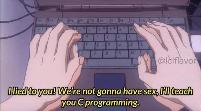 I lied to you! I'll teach you C programming Мем с фразой "I lied to you! We're not gonna have sex, I'll teach you C programming" и руками, печатающими на клавиатуре