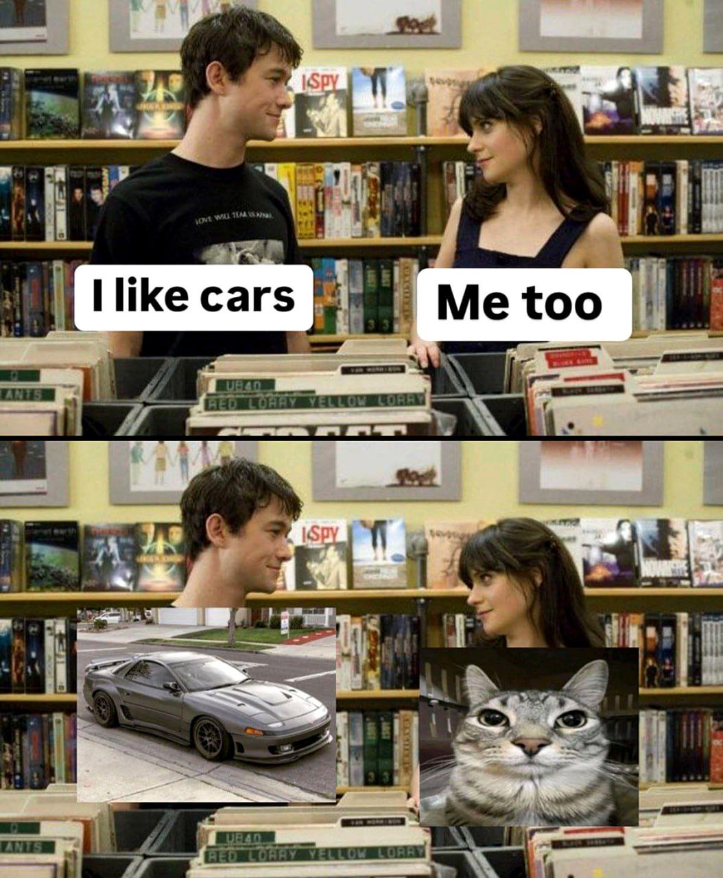 I like cars, me too, кот Я люблю машины, я тоже, кот
