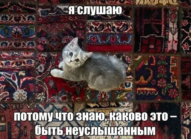 Я слушаю потому что знаю каково это – быть неуслышанным Мем с милым котенком на ковре, который говорит: «Я слушаю, потому что знаю, каково это – быть неуслышанным»
