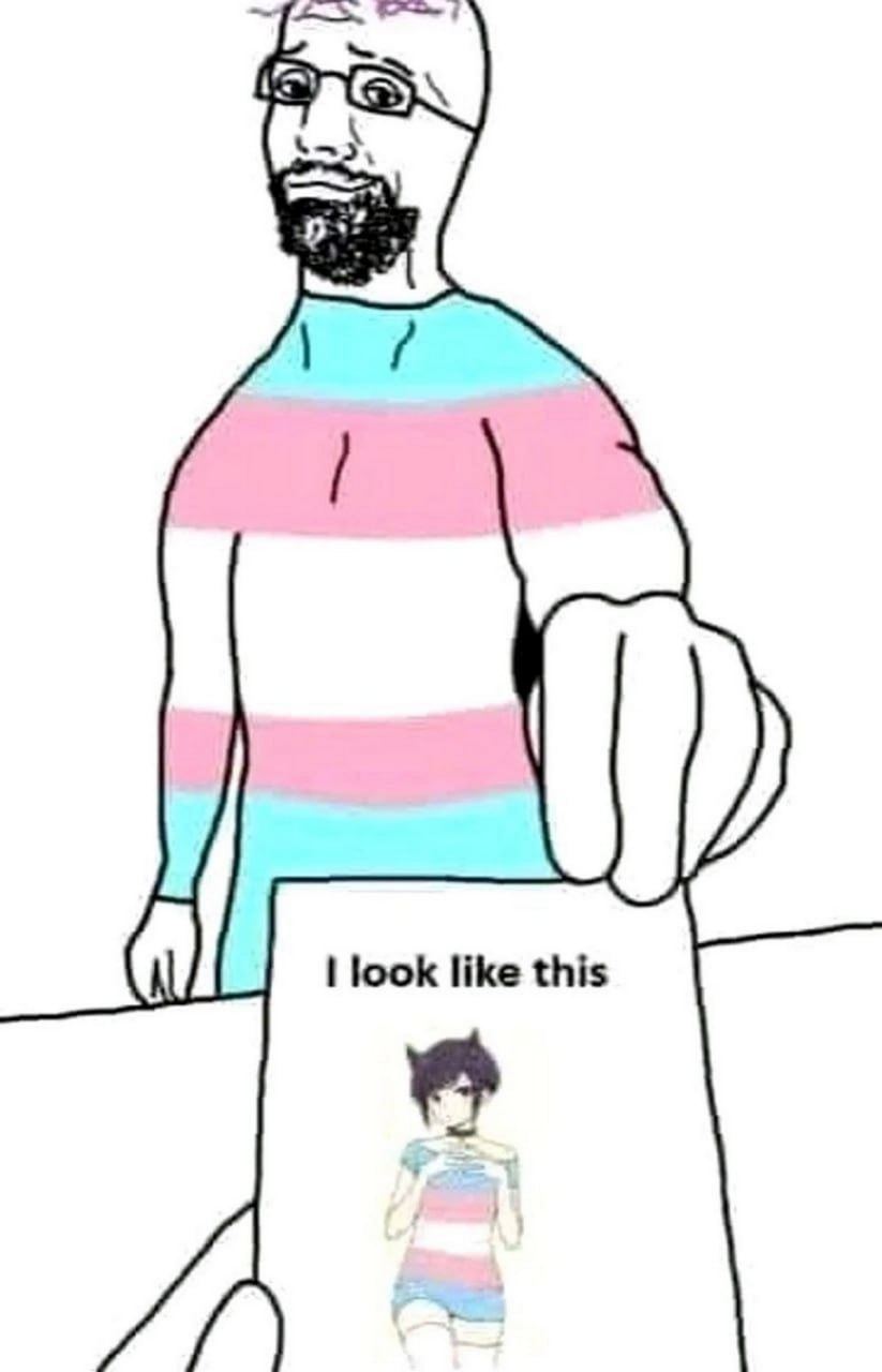 I look like this Мем "I look like this" с бородатым Soyjak в футболке цветов флага трансгендеров, показывающим изображение девушки-фури