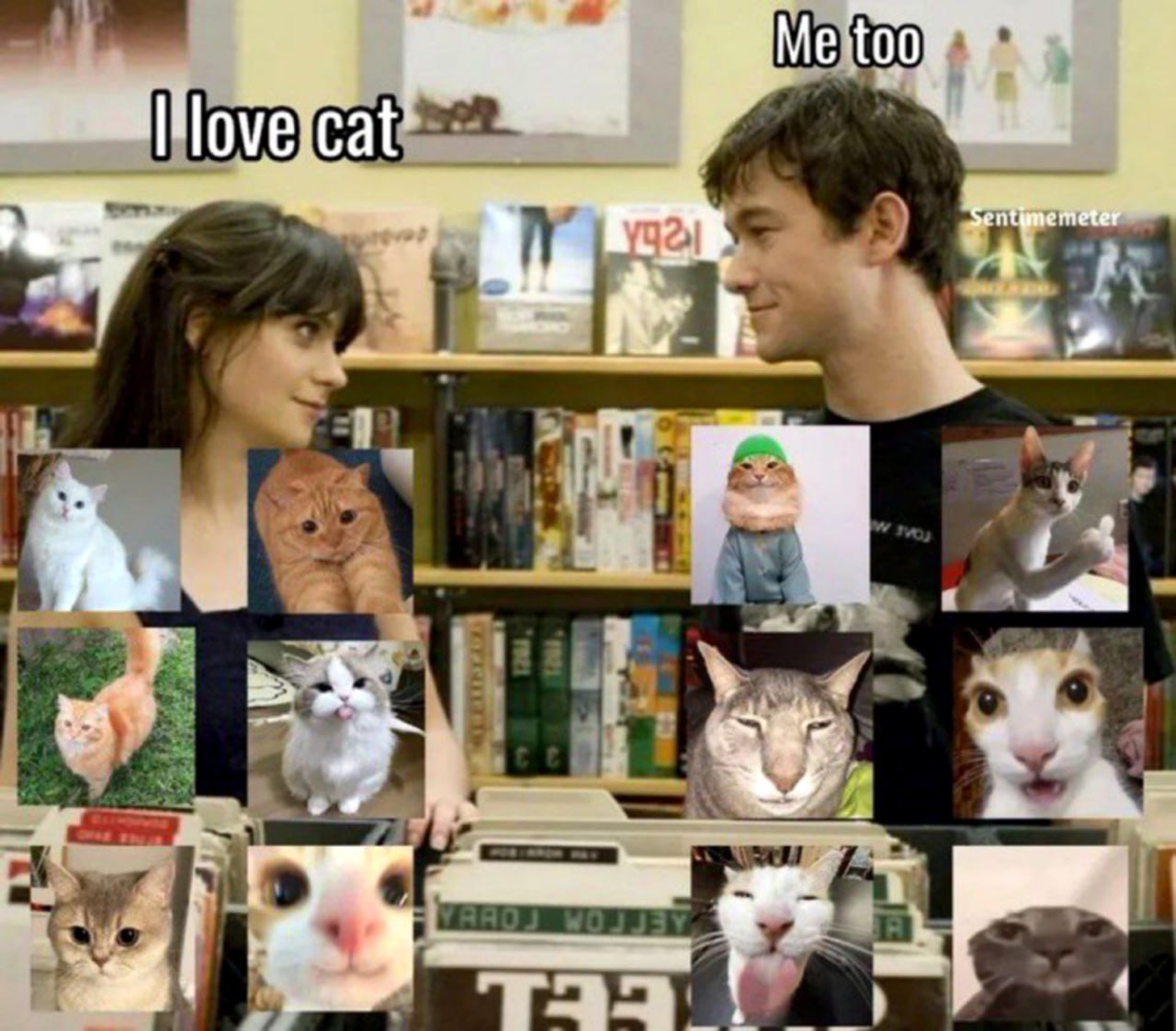 I love cat me too Мем про Тома и Саммер из "500 дней лета", которые оба любят кошек, но по-разному.