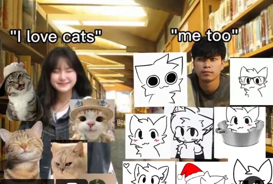 Девушка говорит «I love cats», а парень отвечает «me too» на фоне фотографий и рисунков забавных кошек.