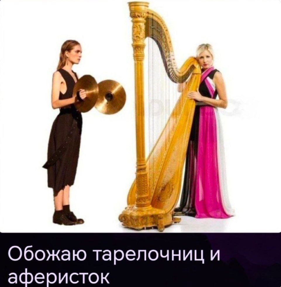 Обожаю тарелочниц и аферисток Девушка с тарелками и девушка с арфой на белом фоне с надписью "Обожаю тарелочниц и аферисток"