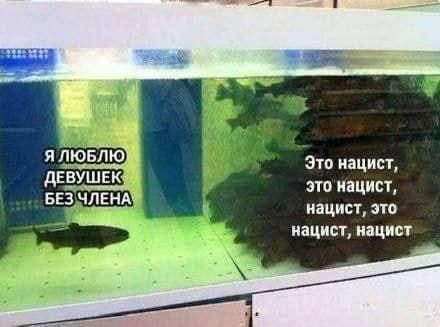 Я люблю девушек без члена и Это нацист Рыбы в аквариуме: "Я люблю девушек без члена" и "Это нацист"
