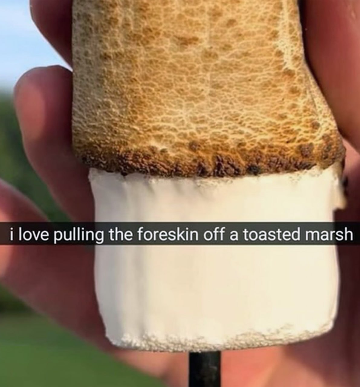 I love pulling the foreskin off a toasted marshmallow Человек держит поджаренный зефир на палочке, с которого отслаивается коричневая корочка. Надпись на изображении гласит: «Мне нравится снимать крайнюю плоть с поджаренного зефира».
