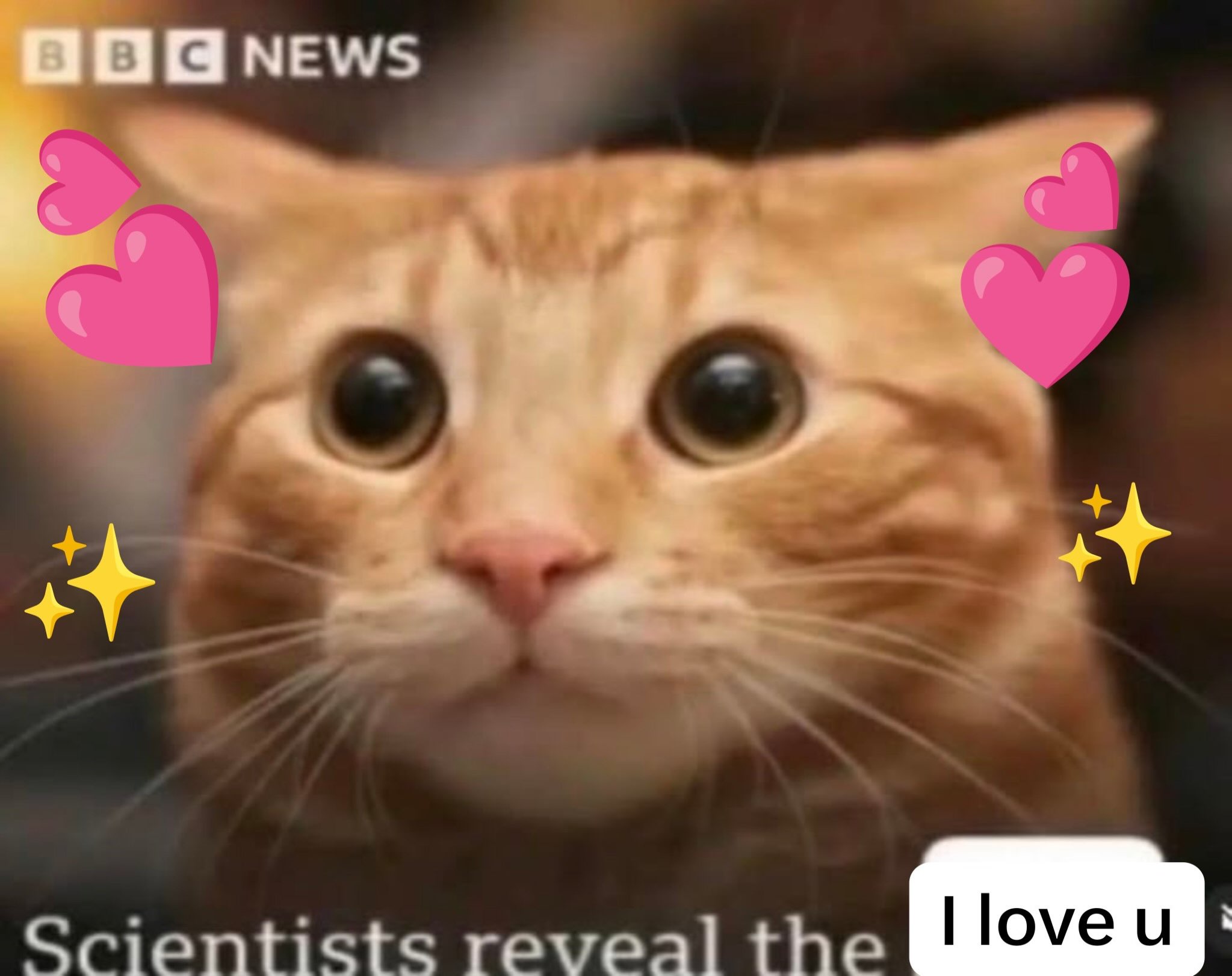 Умилённый рыжий кот с сердечками признаётся в любви: «I love u» — «Я тебя люблю».