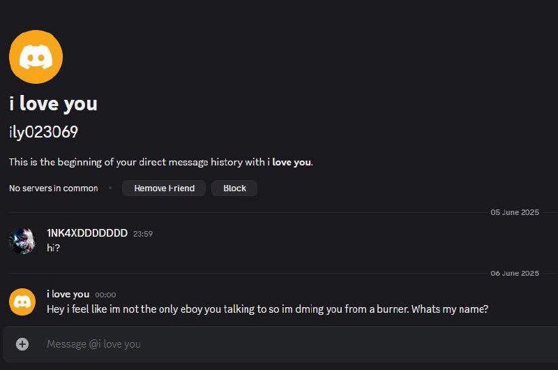I love you burner account Переписка в Discord, где пользователь использует фейковый аккаунт для проверки отношений