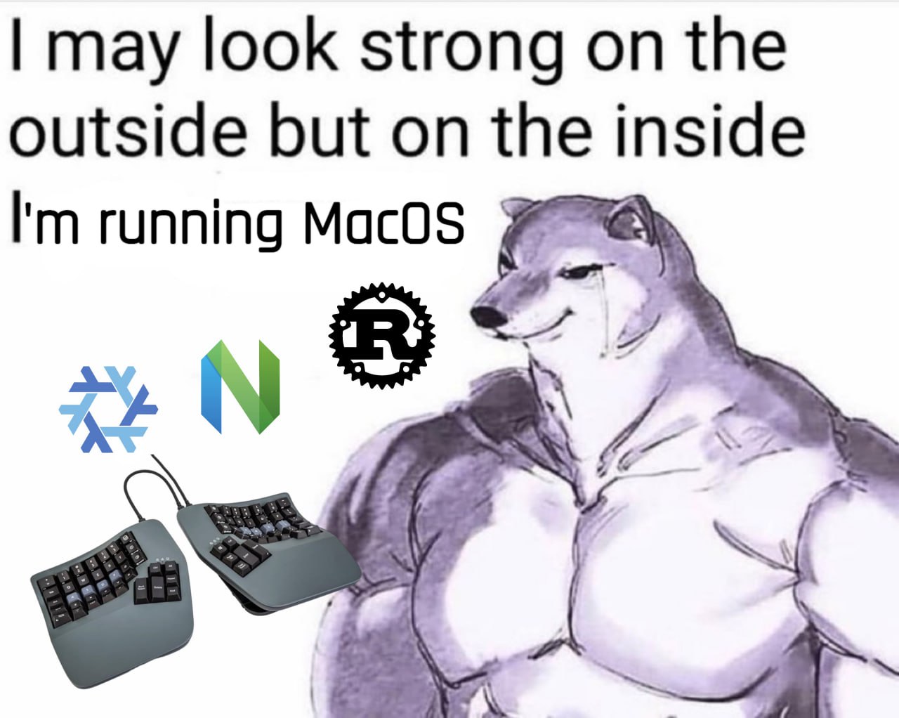 I may look strong on the outside but on the inside I’m running MacOS Мем про накачанного Доге, который выглядит сильным, но использует macOS