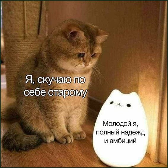 Я, скучаю по себе старому Мем с грустным котом, скучающим по себе старому, и светящимся котом, олицетворяющим молодого себя, полного надежд и амбиций