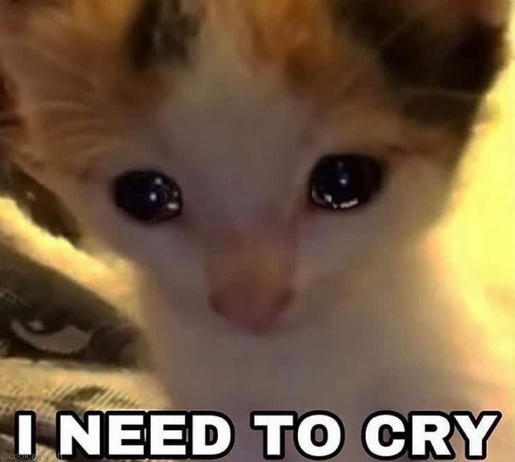I need to cry Грустная кошка с подписью "I need to cry"